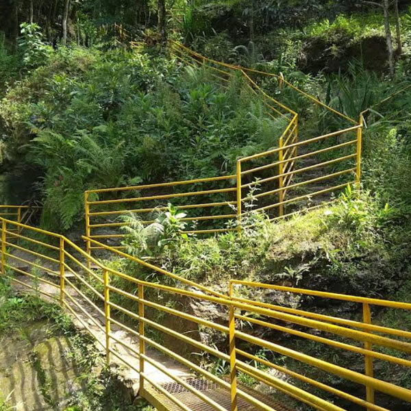 Foto: Gisele Mendonça, 2020 (Google)