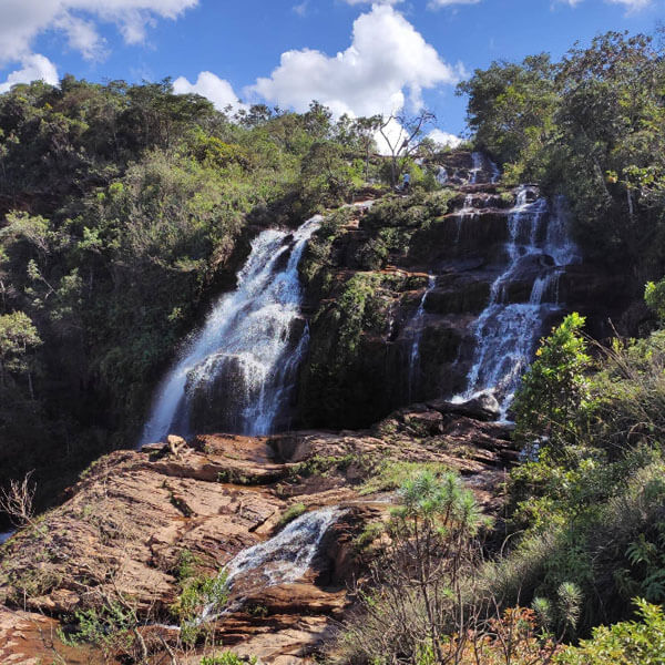 Foto: Viviane Nascimento, 2023 (Google)